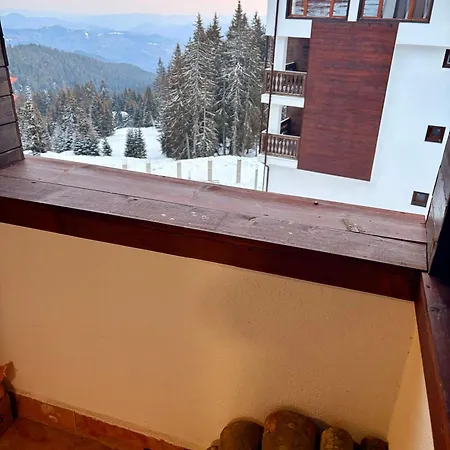 Star Grand Apartment